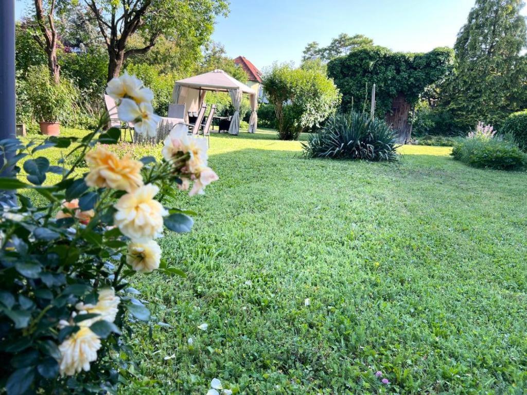 Appartment Rosengarten Μπάντεν Εξωτερικό φωτογραφία